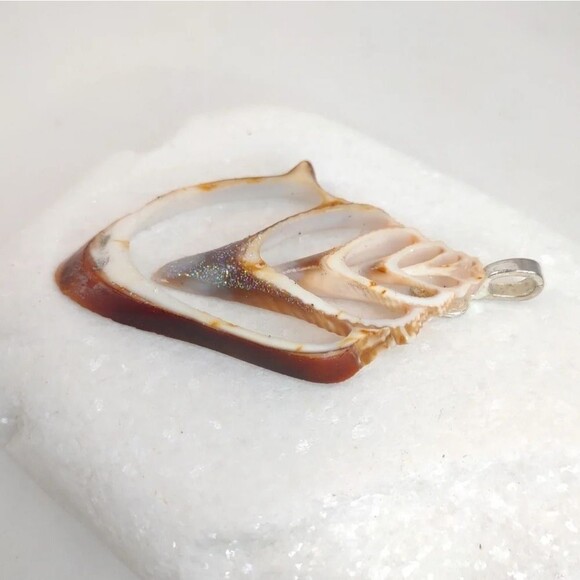 Seashell Slice Conch Pendant Glitter and Polysealed Handmade - Picture 5 of 12